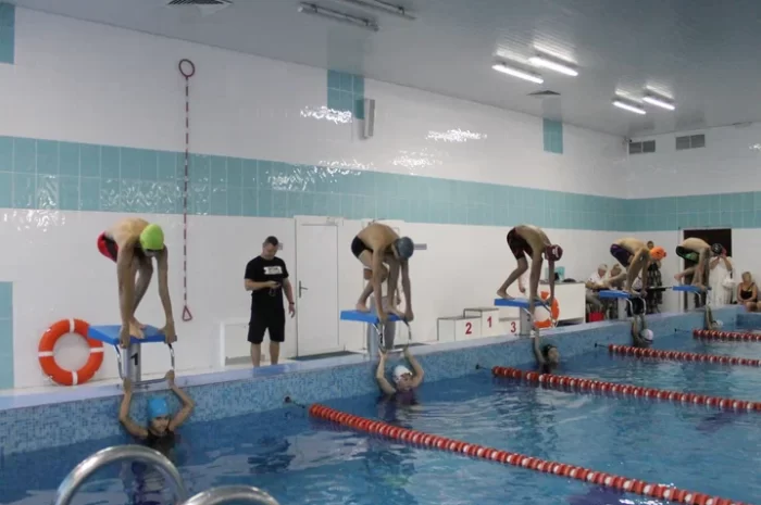 Соревнования по плаванию «Весёлый дельфин»
